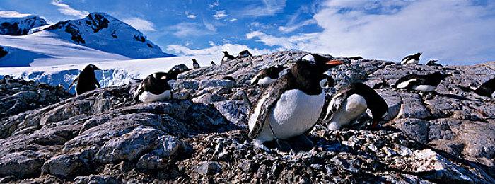 《GTA6》精美壁纸欣赏 男女主角登场亮相