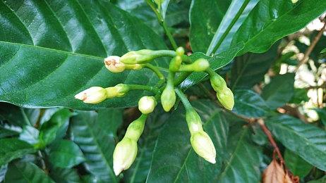 《分裂之门2》开发者确认：如果玩家想要会增加更多阵营