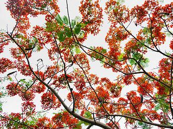 《对马岛之鬼》电影版将会是最反武士的武士影片